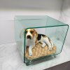 夏日清凉之选 透明亚克力狗窝定制，为爱宠打造专属小天地