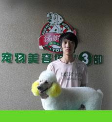 汤姆狗宠物美容师培训学校 专业培训，高清图片展示技艺之美